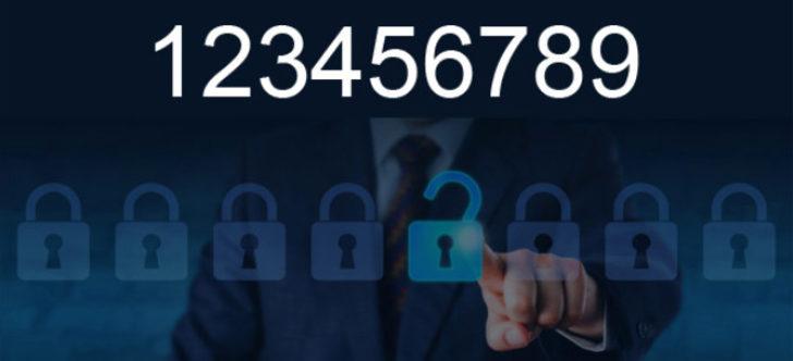 2016 yılında en çok çalınan şifreler G2