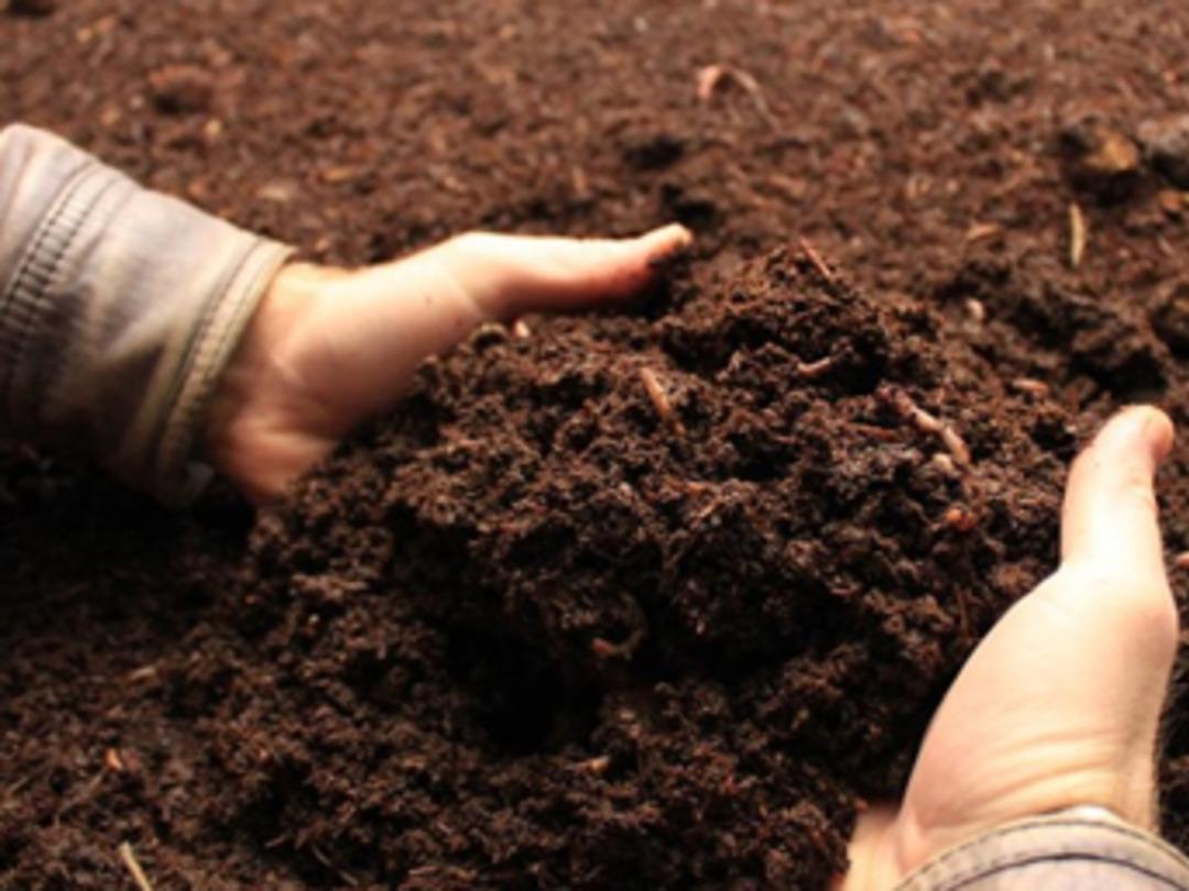 200 bin solucanla 3 ton g&uuml;bre &uuml;retiyor