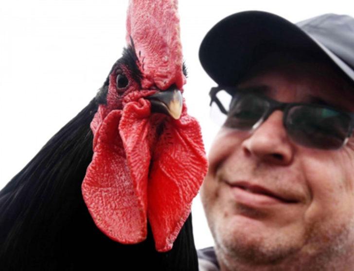 Bodrum'da ejderha tavuğu yetiştirdiler G2