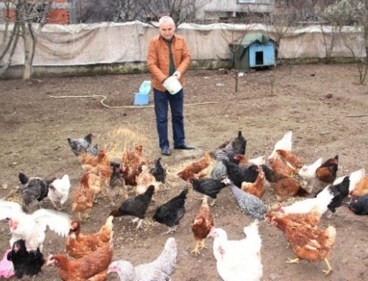 8 yumurtayla başladı şimdi yetişemiyorlar G2