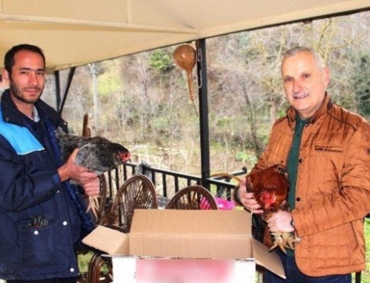 8 yumurtayla başladı şimdi yetişemiyorlar G3