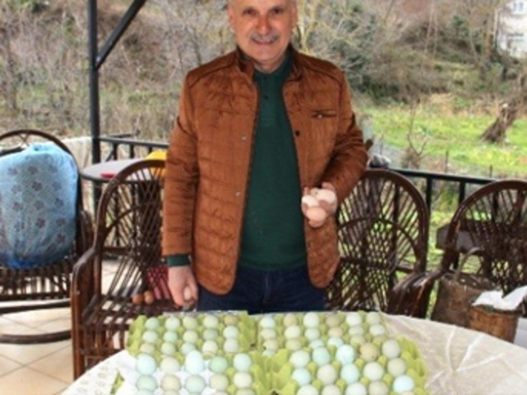 8 yumurtayla başladı şimdi yetişemiyorlar