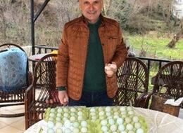 8 yumurtayla başladı şimdi yetişemiyorlar