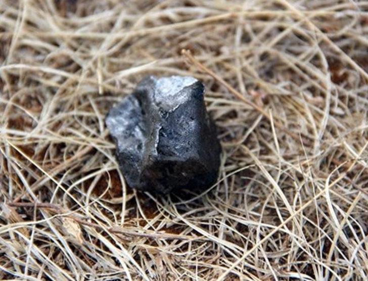 Taşı alan ‘Para eder mi?’ diye üniversiteye koşuyor G1