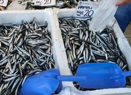 Fiyatı 20 lirayı gördü