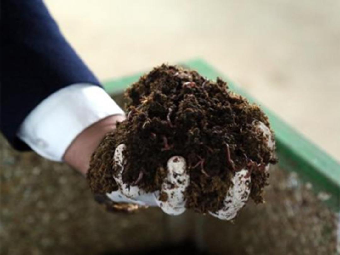 Sağlık memuru 30 milyon solucanı ile g&uuml;bre &uuml;retiyor