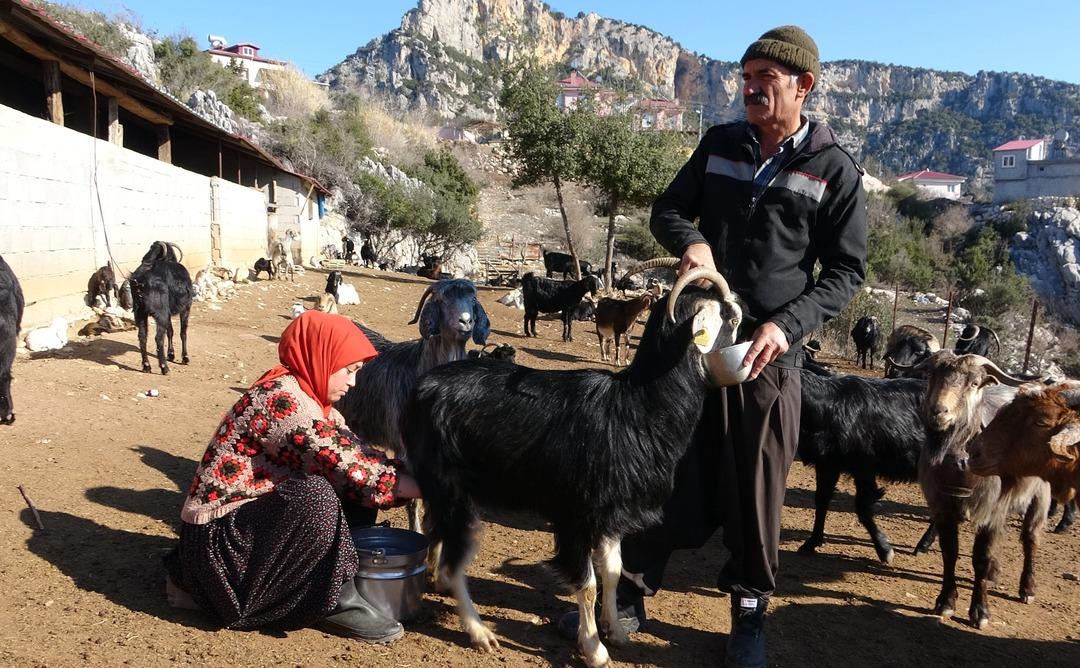 Yörük kızı bayrağı devralan çocuk oldu: Diplomasını aldı, köyüne döndü 3