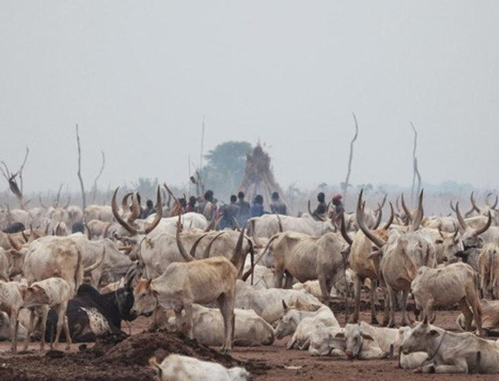Güney Sudan'daki Mundari Kabilesi G3