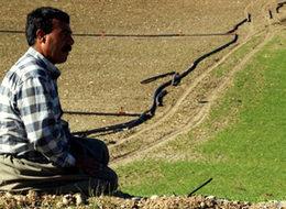 Çiftçilere 2.1 milyar TL'lik destekleme ödemesi bugün başlıyor