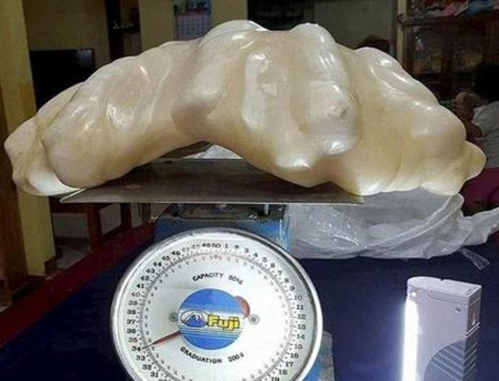 Tam 100 milyon dolar değerinde! 10 yıl totem olsun diye saklandı G1