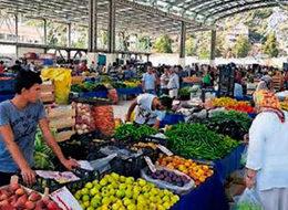 Üreticiye yeni teşvik müjdesi