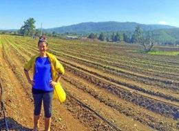 Kariyerini bırakıp kuşkonmaz üreticisi oldu