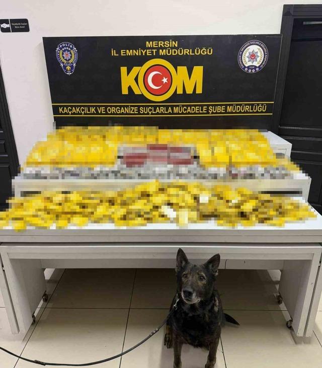 Mersin&rsquo;de binlerce ka&ccedil;ak &uuml;r&uuml;n ele ge&ccedil;irildi 1