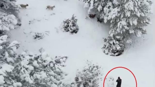 Dronuna tüfek doğrultulan fotoğrafçı: Ateş etse vurabilirdi