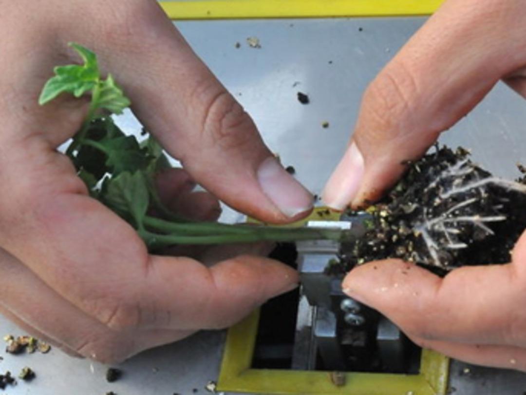 T&uuml;rk gen&ccedil;lerden m&uuml;thiş buluş