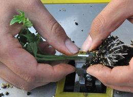 Türk gençlerden müthiş buluş