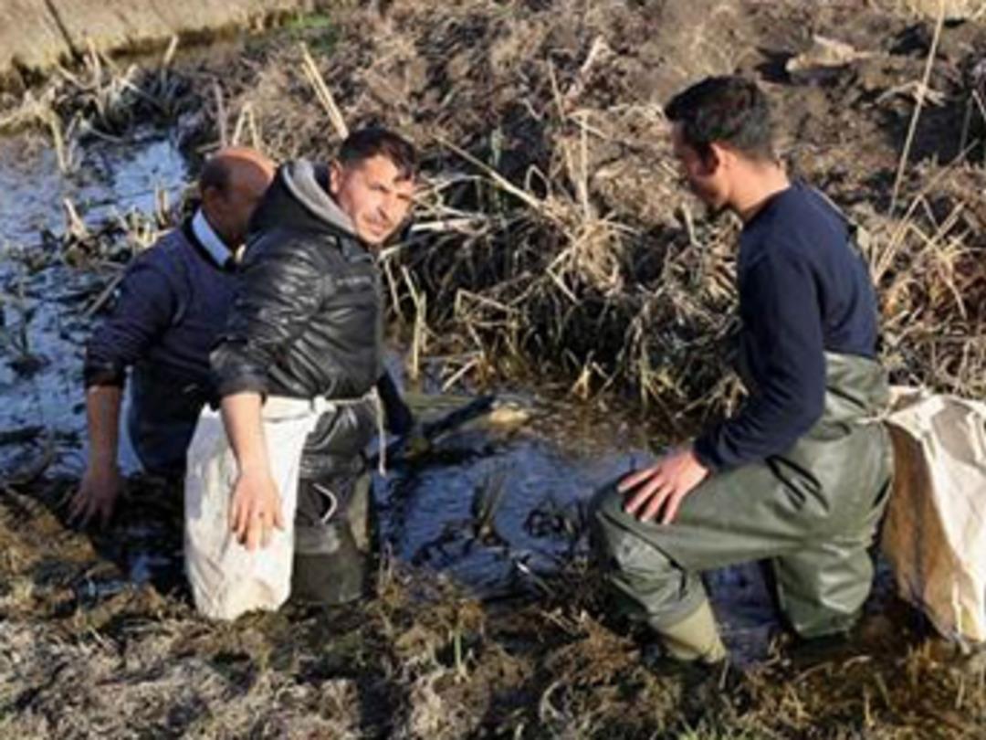 Ekmekleri kurbağanın bacağında
