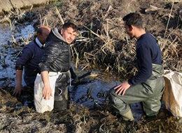 Ekmekleri kurbağanın bacağında