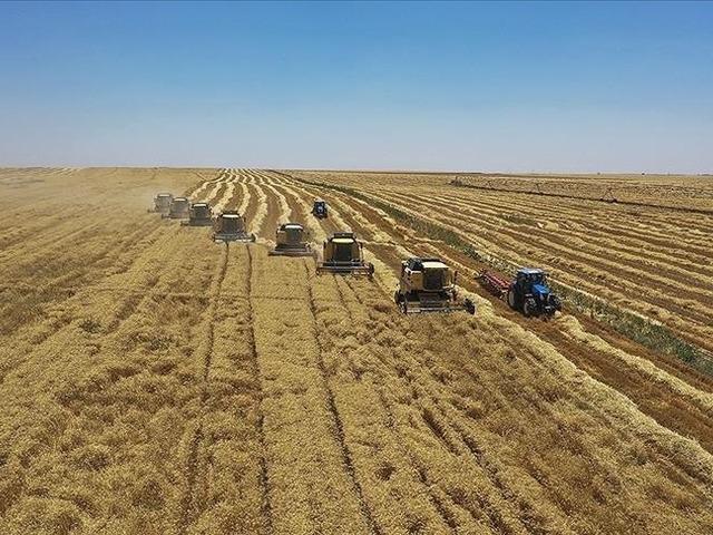 Yem sanayicileri ramazan ayı sonuna kadar fiyatları artırmama kararı aldı