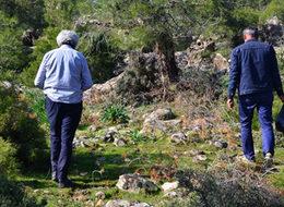 Kilosu 120 liradan satılan kuzu göbeği için ormana koştular