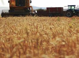 Çiftçilere 4,2 milyar liralık destek ödemesi