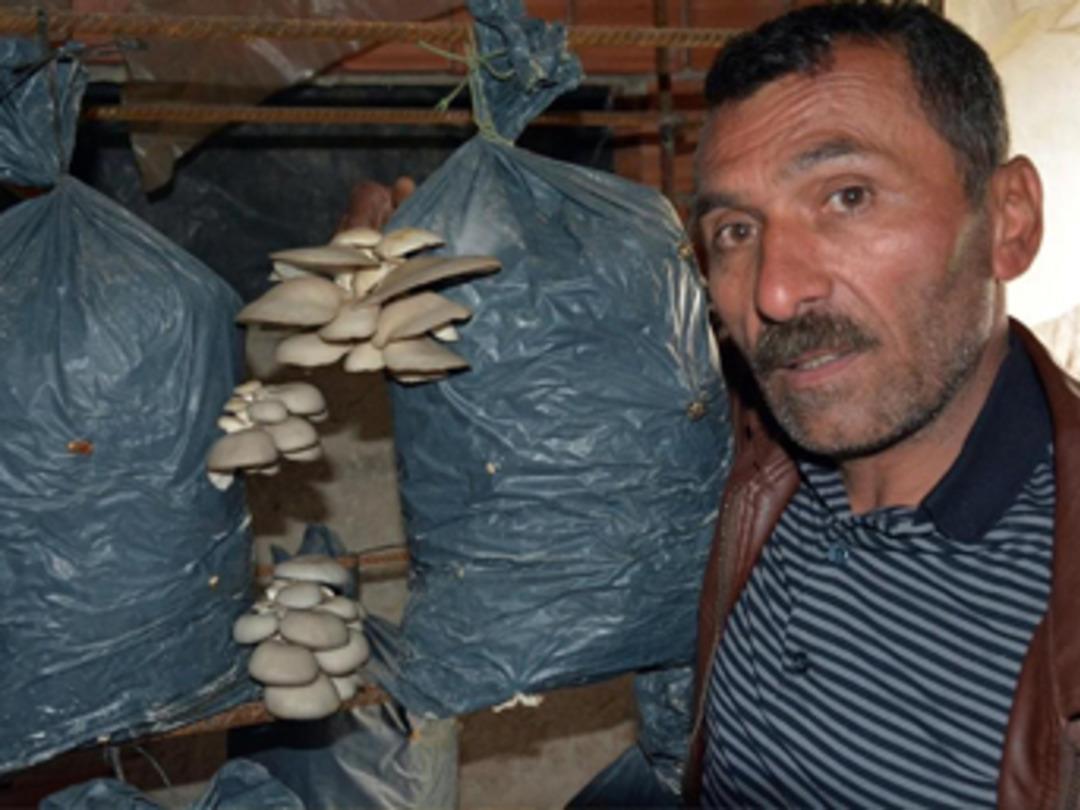 Ek gelir i&ccedil;in başladı, şimdi para basıyor