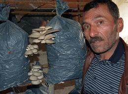 Ek gelir için başladı, şimdi para basıyor