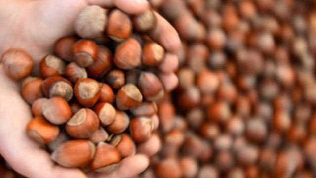 Oltan Gıda 'Ferrero Fındık' oldu