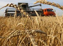 Dvorkoviç: Karşılıklı kısıtlamaları kaldırmak en doğrusu