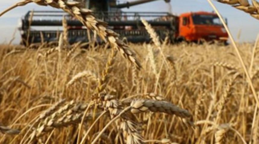 Dvorkoviç: Karşılıklı kısıtlamaları kaldırmak en doğrusu