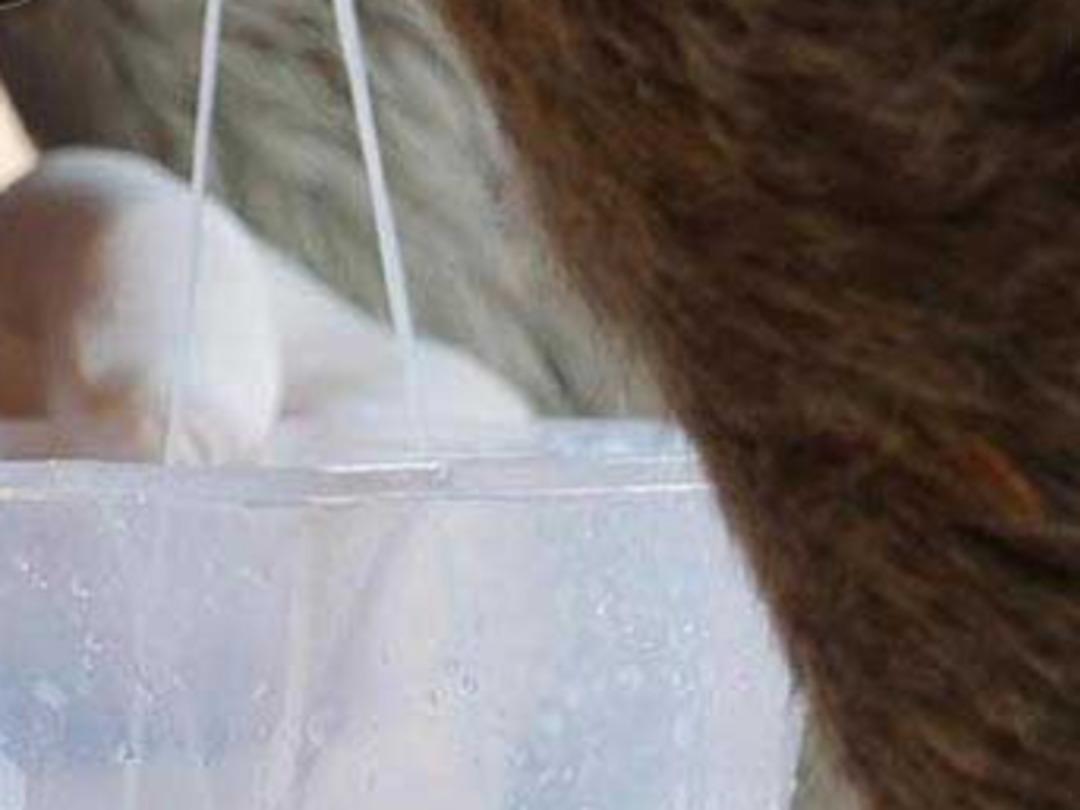 Eşek s&uuml;t&uuml;n&uuml;n litresini 120 liradan satıyor