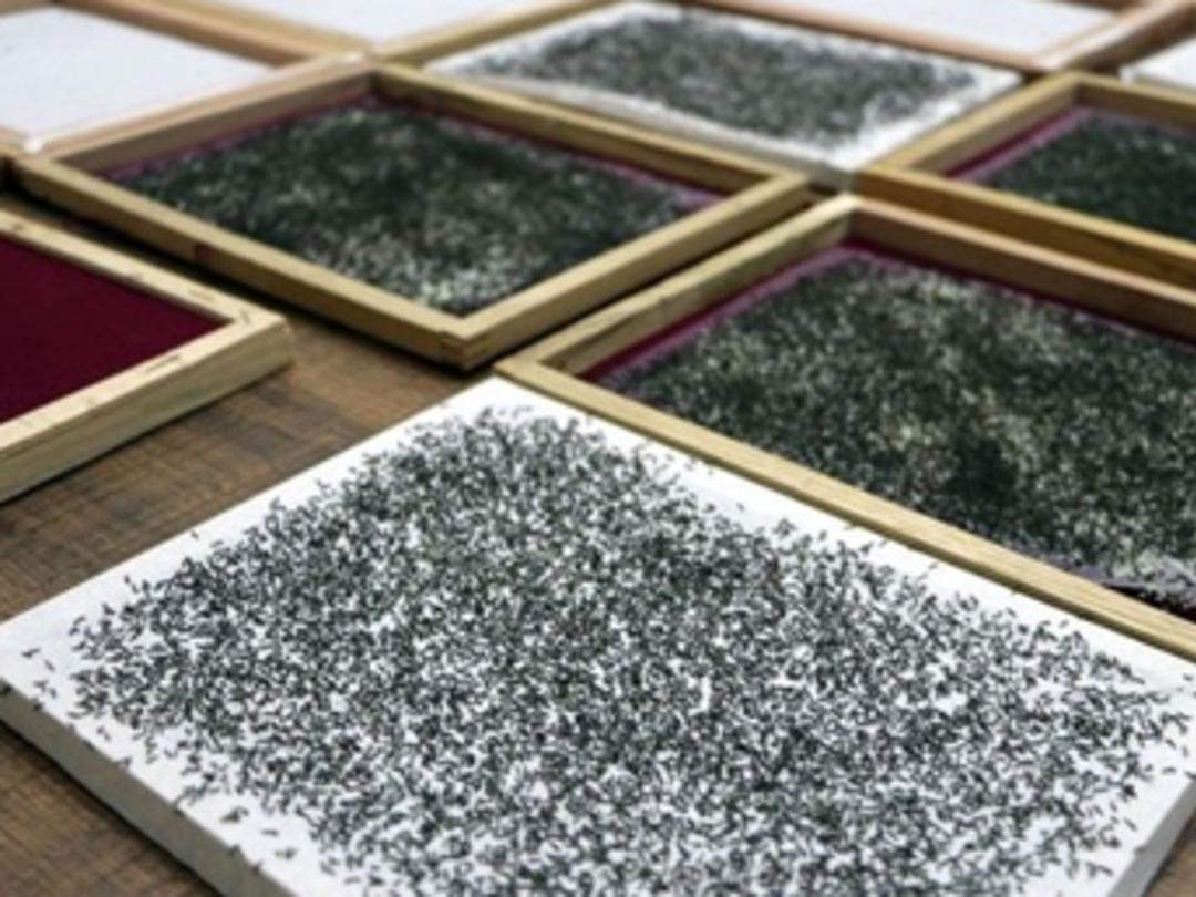 Evlerinde ipek b&ouml;ceği yetiştirerek 6 bin lira kazanacaklar