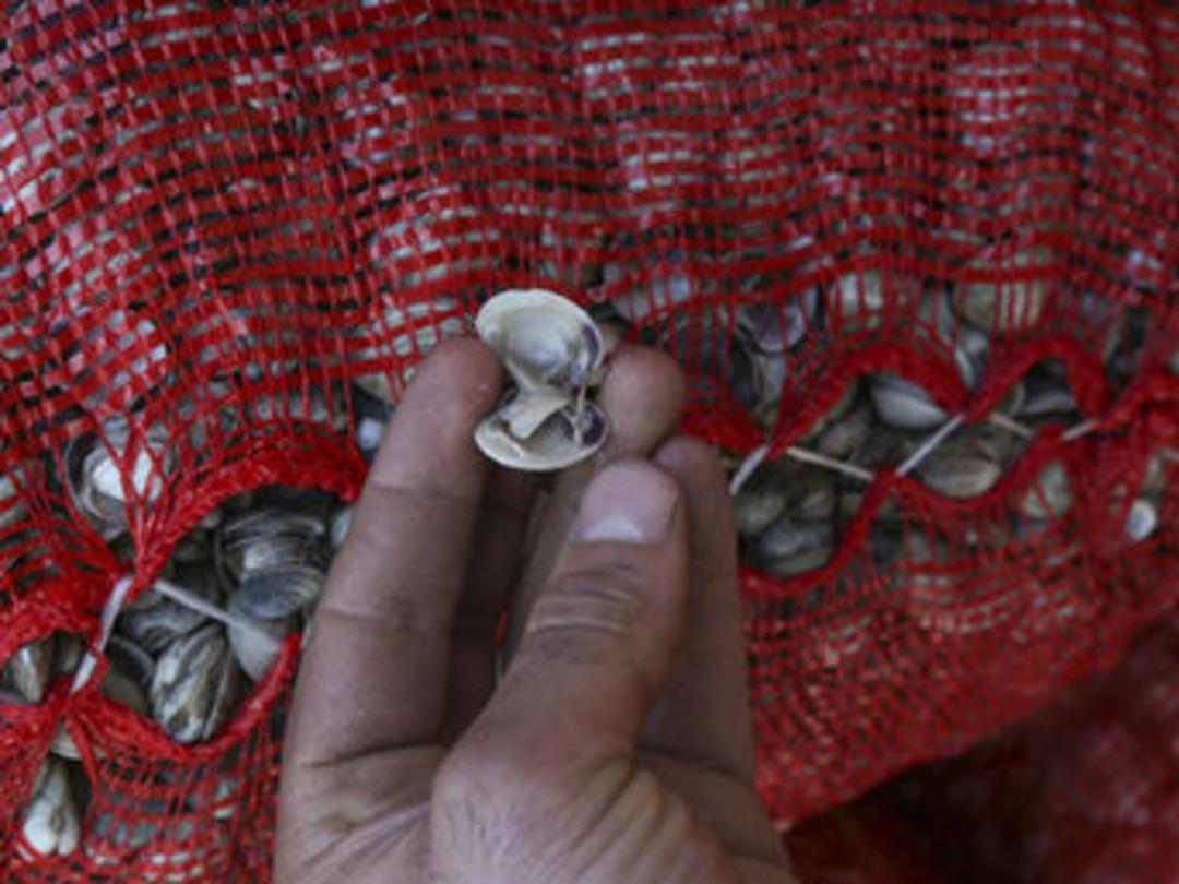 Avrupa mutfağının "cik cik"leri T&uuml;rkiye'den