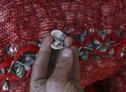 Avrupa mutfağının "cik cik"leri Türkiye'den