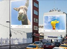 Apple CEO'sundan 23 Nisan paylaşımı