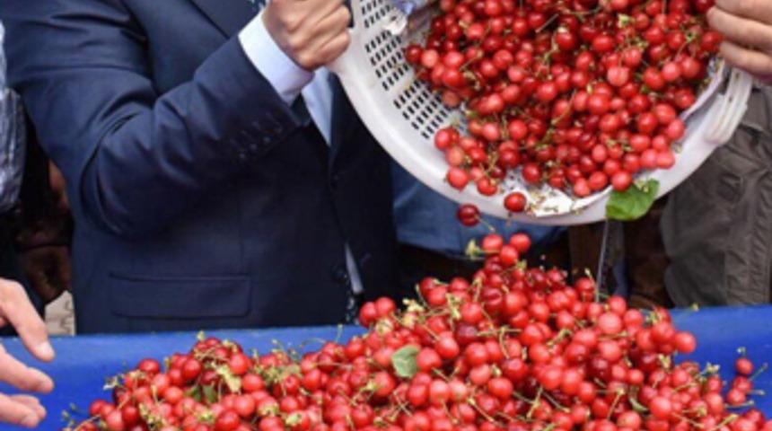 Yerli kiraz kilosu 85 liradan tezgaha indi