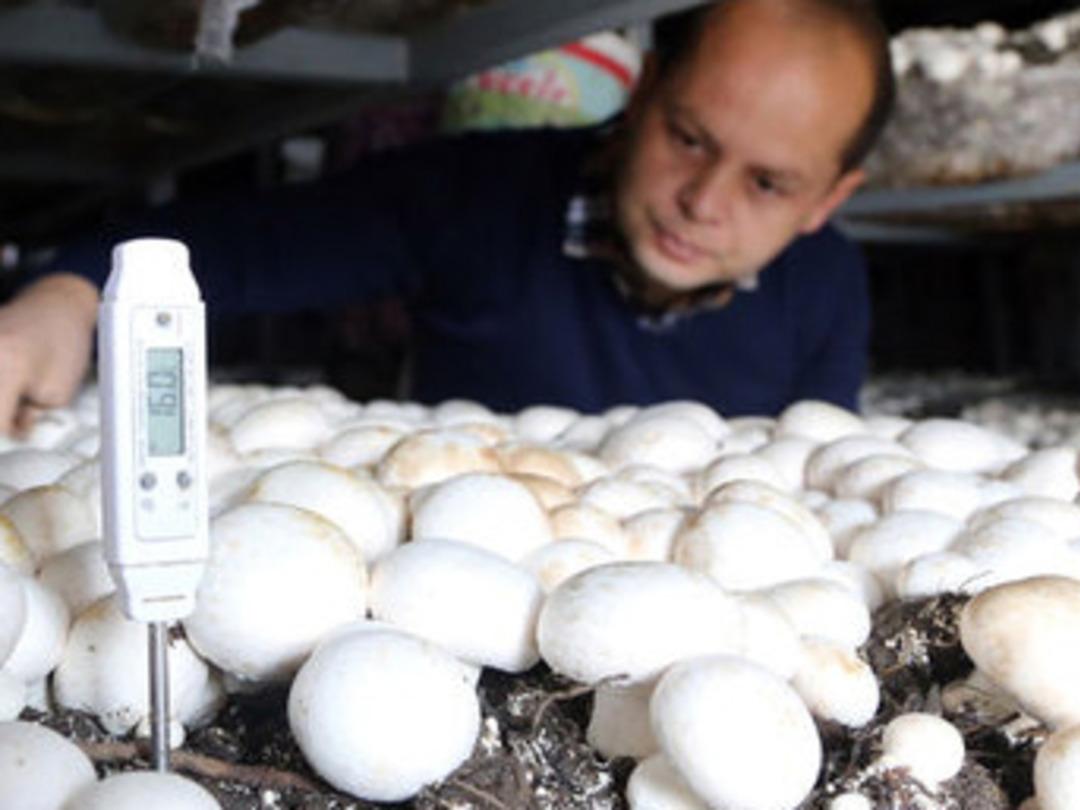 KOSGEB kredisiyle kendi işinin patronu oldu