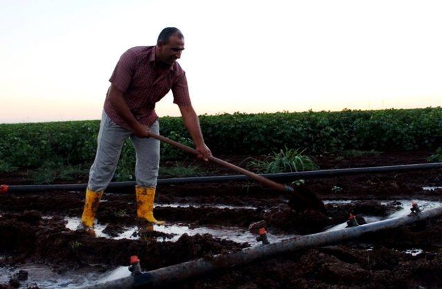 Gece sulaması çiftçinin kazancını yüzde 15 artırıyor