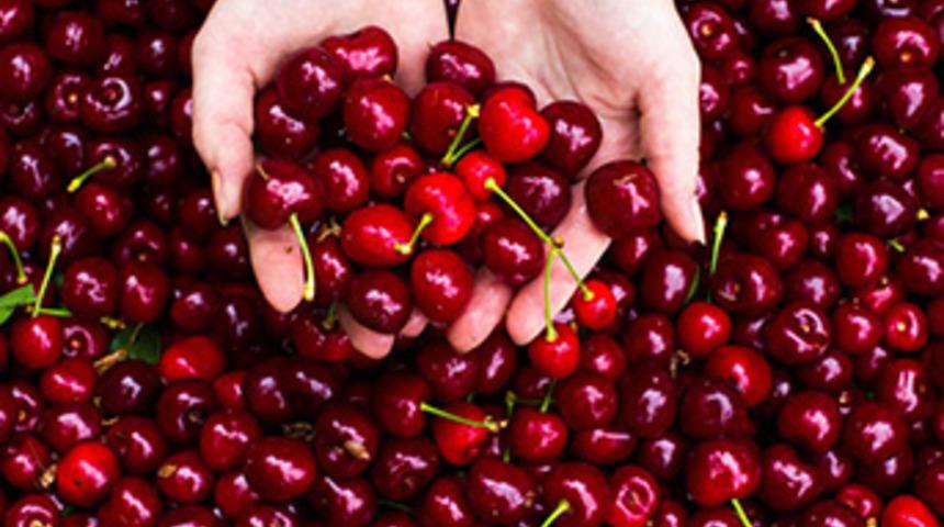 Kirazın fiyatı 15 liraya düştü