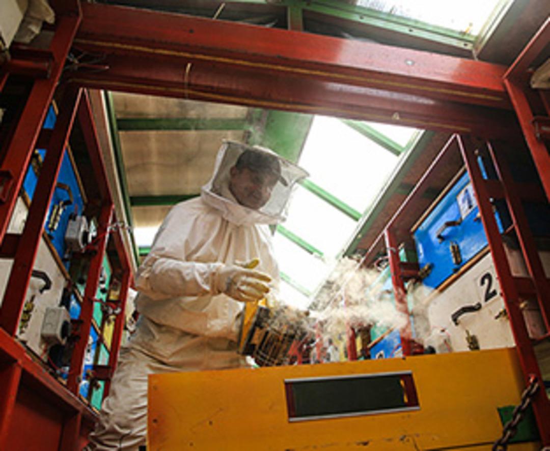 Tırda doğal bal &uuml;retiyor