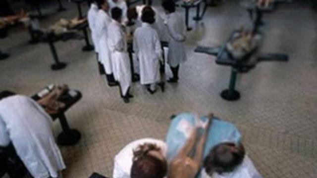 15 bin TL'ye ithal ediliyor