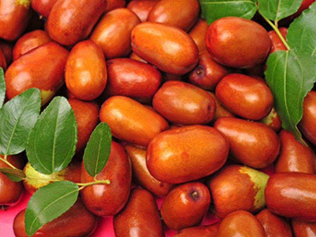 Bah&ccedil;esinde yetiştirdi, belediyeden desteği kaptı!