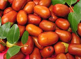 Bahçesinde yetiştirdi, belediyeden desteği kaptı!