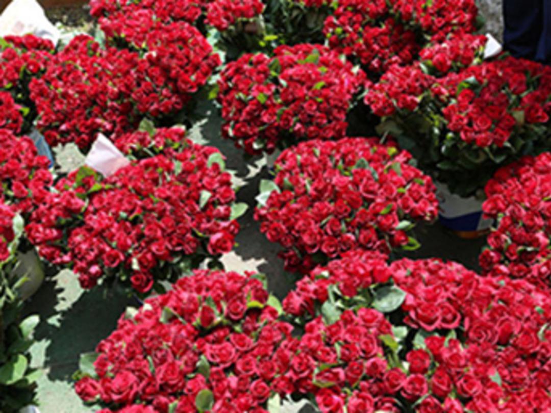 Atıl araziyi d&uuml;zenlediler, 50 bin lira kazandılar!