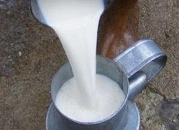 ASÜD'den 'sokak sütü' uyarısı