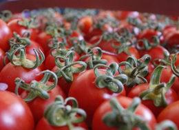 Rusya'dan 'domates' açıklaması