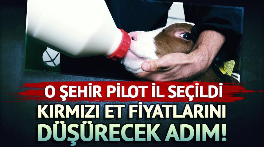 Bakanlıktan kırmızı et fiyatlarını d&uuml;ş&uuml;recek adım!