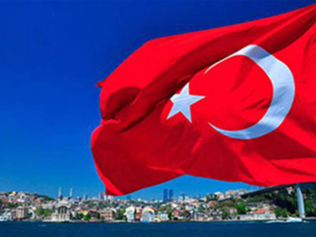 Birleşmiş Milletler d&uuml;nyanın &ccedil;eşitli &uuml;lkelerindeki T&uuml;rk vatandaşların rakamlarını a&ccedil;ıkladı