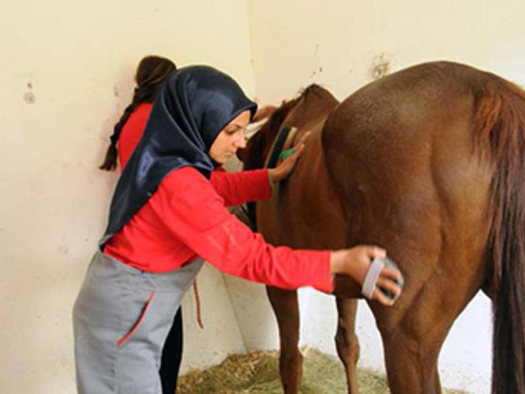 TJK kadın seyis yetiştiriyor