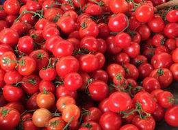 Fiyatı 10 liradan 30 kuruşa kadar düştü